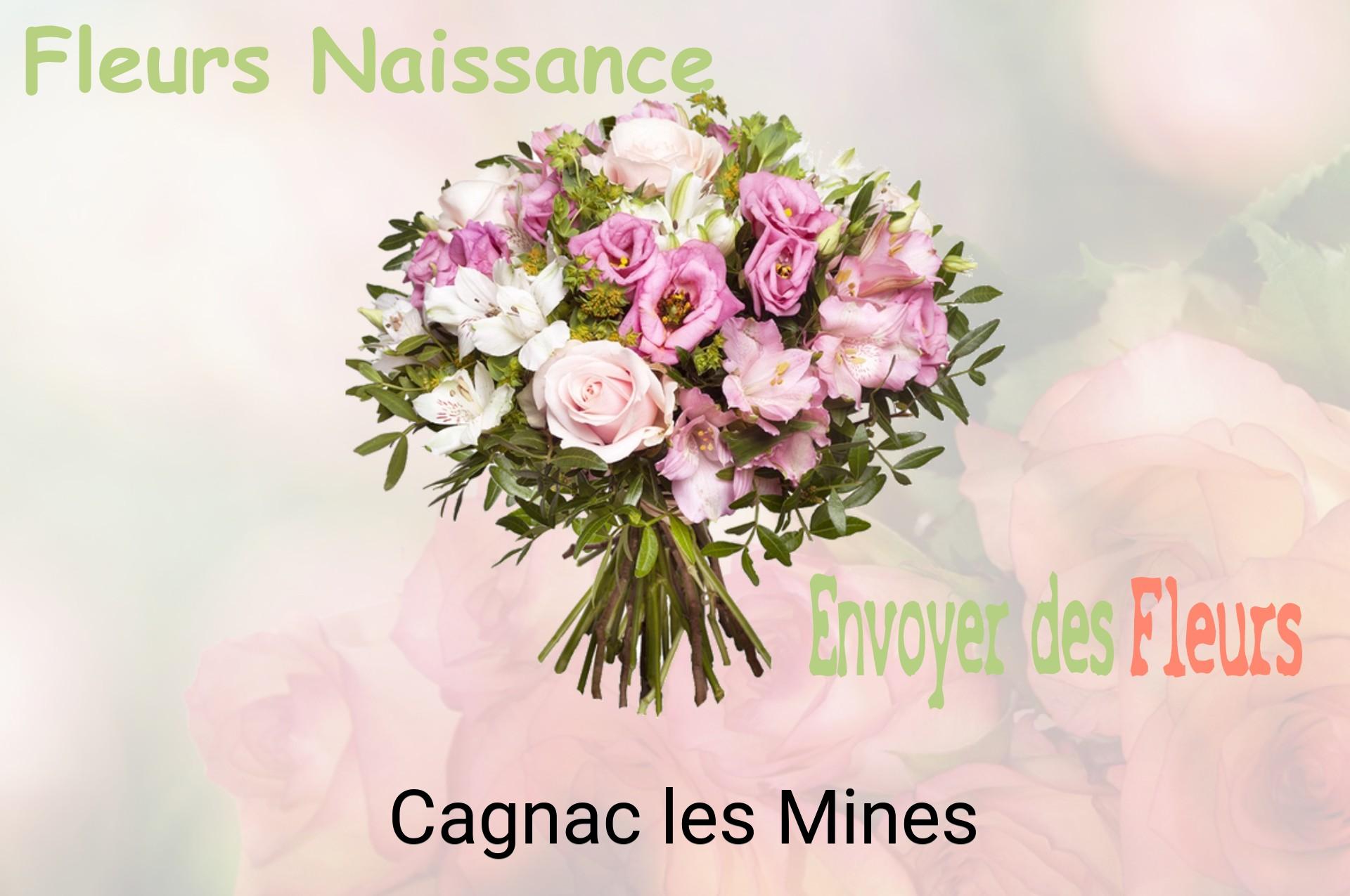 Bouquet de fleurs de naissance livré à Cagnac-les-Mines